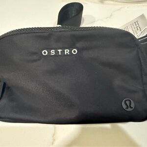 NWT everywhere belt bag